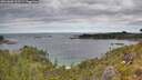 ./images/calvert/foggy-cove/20260608/foggy-cove20260608_112501M.jpg
