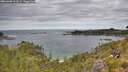 ./images/calvert/foggy-cove/20260608/foggy-cove20260608_113001M.jpg