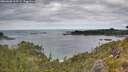 ./images/calvert/foggy-cove/20260608/foggy-cove20260608_113501M.jpg