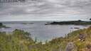 ./images/calvert/foggy-cove/20260608/foggy-cove20260608_114501M.jpg