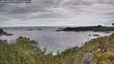 ./images/calvert/foggy-cove/20260608/foggy-cove20260608_115501M.jpg