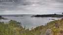 ./images/calvert/foggy-cove/20260608/foggy-cove20260608_120501M.jpg