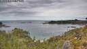 ./images/calvert/foggy-cove/20260608/foggy-cove20260608_123001M.jpg