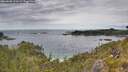 ./images/calvert/foggy-cove/20260608/foggy-cove20260608_123501M.jpg