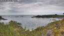 ./images/calvert/foggy-cove/20260608/foggy-cove20260608_125001M.jpg