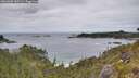 ./images/calvert/foggy-cove/20260608/foggy-cove20260608_140502M.jpg