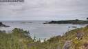 ./images/calvert/foggy-cove/20260608/foggy-cove20260608_141001M.jpg