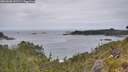 ./images/calvert/foggy-cove/20260608/foggy-cove20260608_141501M.jpg