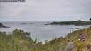 ./images/calvert/foggy-cove/20260608/foggy-cove20260608_142001M.jpg