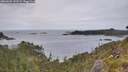./images/calvert/foggy-cove/20260608/foggy-cove20260608_143501M.jpg