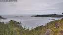 ./images/calvert/foggy-cove/20260608/foggy-cove20260608_144001M.jpg