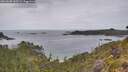 ./images/calvert/foggy-cove/20260608/foggy-cove20260608_145501M.jpg