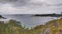 ./images/calvert/foggy-cove/20260608/foggy-cove20260608_155501M.jpg