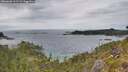 ./images/calvert/foggy-cove/20260608/foggy-cove20260608_161501M.jpg