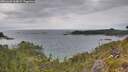 ./images/calvert/foggy-cove/20260608/foggy-cove20260608_164001M.jpg