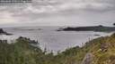 ./images/calvert/foggy-cove/20260608/foggy-cove20260608_172001M.jpg
