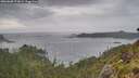 ./images/calvert/foggy-cove/20260608/foggy-cove20260608_173001M.jpg
