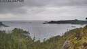 ./images/calvert/foggy-cove/20260608/foggy-cove20260608_174001M.jpg