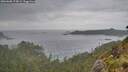 ./images/calvert/foggy-cove/20260608/foggy-cove20260608_174501M.jpg