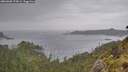 ./images/calvert/foggy-cove/20260608/foggy-cove20260608_175002M.jpg