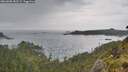 ./images/calvert/foggy-cove/20260608/foggy-cove20260608_181502M.jpg