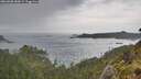 ./images/calvert/foggy-cove/20260608/foggy-cove20260608_182001M.jpg