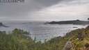 ./images/calvert/foggy-cove/20260608/foggy-cove20260608_182501M.jpg