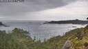 ./images/calvert/foggy-cove/20260608/foggy-cove20260608_183002M.jpg
