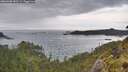 ./images/calvert/foggy-cove/20260608/foggy-cove20260608_183501M.jpg