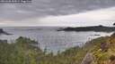 ./images/calvert/foggy-cove/20260608/foggy-cove20260608_184501M.jpg