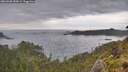 ./images/calvert/foggy-cove/20260608/foggy-cove20260608_185001M.jpg