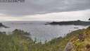 ./images/calvert/foggy-cove/20260608/foggy-cove20260608_191001M.jpg