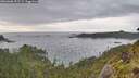 ./images/calvert/foggy-cove/20260608/foggy-cove20260608_191501M.jpg
