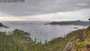 ./images/calvert/foggy-cove/20260608/foggy-cove20260608_192001M.jpg