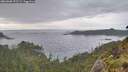 ./images/calvert/foggy-cove/20260608/foggy-cove20260608_192501M.jpg