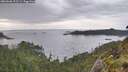 ./images/calvert/foggy-cove/20260608/foggy-cove20260608_193501M.jpg