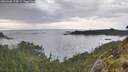 ./images/calvert/foggy-cove/20260608/foggy-cove20260608_194002M.jpg