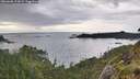 ./images/calvert/foggy-cove/20260608/foggy-cove20260608_194501M.jpg