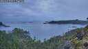 ./images/calvert/foggy-cove/20260609/foggy-cove20260609_051001M.jpg