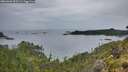 ./images/calvert/foggy-cove/20260609/foggy-cove20260609_053501M.jpg