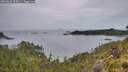 ./images/calvert/foggy-cove/20260609/foggy-cove20260609_055001M.jpg