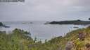 ./images/calvert/foggy-cove/20260609/foggy-cove20260609_055501M.jpg