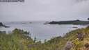 ./images/calvert/foggy-cove/20260609/foggy-cove20260609_060502M.jpg