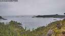 ./images/calvert/foggy-cove/20260609/foggy-cove20260609_061001M.jpg