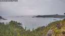 ./images/calvert/foggy-cove/20260609/foggy-cove20260609_062001M.jpg