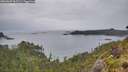 ./images/calvert/foggy-cove/20260609/foggy-cove20260609_062502M.jpg