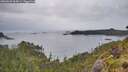 ./images/calvert/foggy-cove/20260609/foggy-cove20260609_063001M.jpg