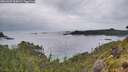 ./images/calvert/foggy-cove/20260609/foggy-cove20260609_064001M.jpg