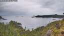 ./images/calvert/foggy-cove/20260609/foggy-cove20260609_064501M.jpg