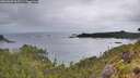 ./images/calvert/foggy-cove/20260609/foggy-cove20260609_065501M.jpg